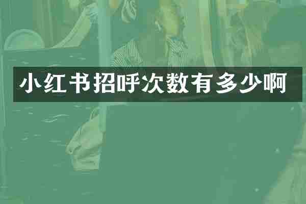 小红书招呼次数有多少啊
