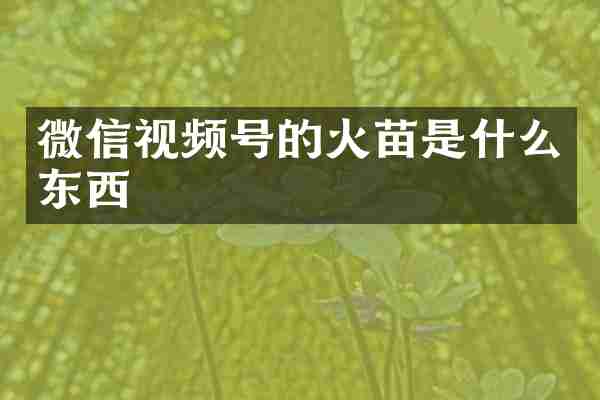 微信视频号的火苗是什么东西