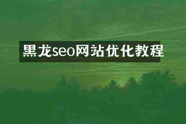黑龙seo网站优化教程