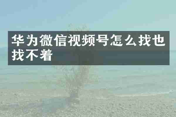 华为微信视频号怎么找也找不着
