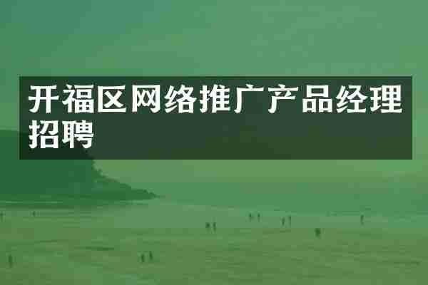开福区网络推广产品经理招聘