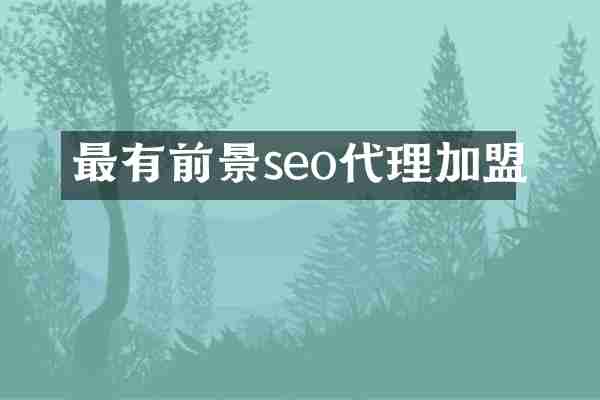 最有前景seo代理加盟