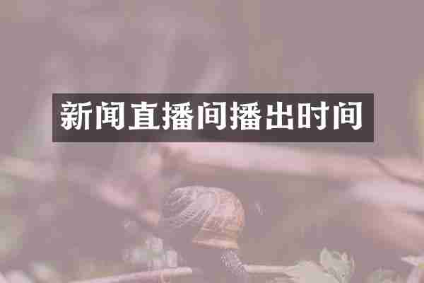 新闻直播间播出时间