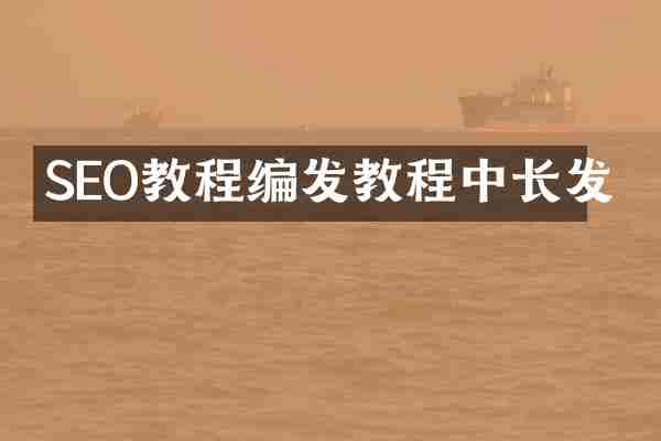 SEO教程编发教程中长发