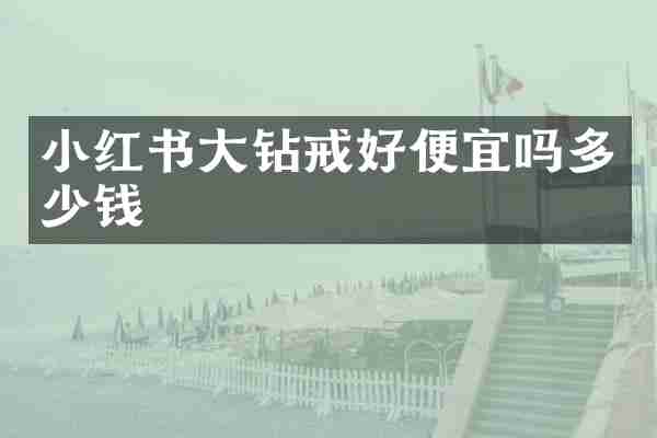 小红书大钻戒好便宜吗多少钱