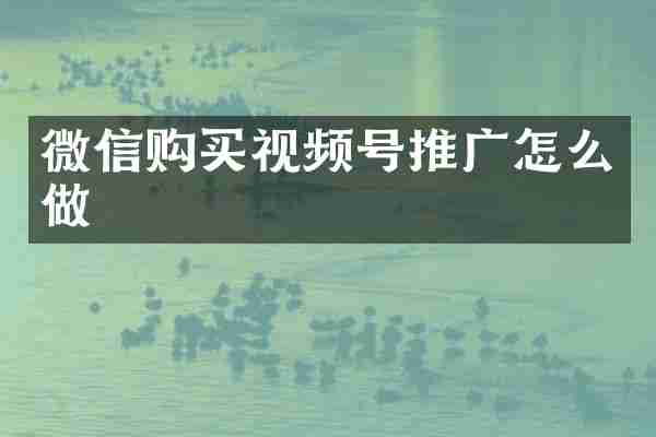 微信购买视频号推广怎么做