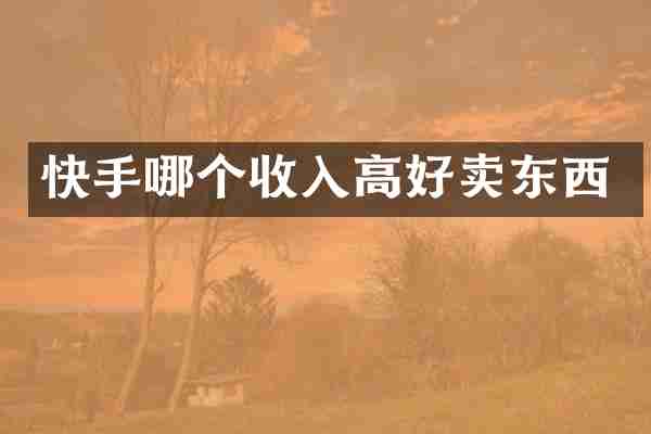 快手哪个收入高好卖东西