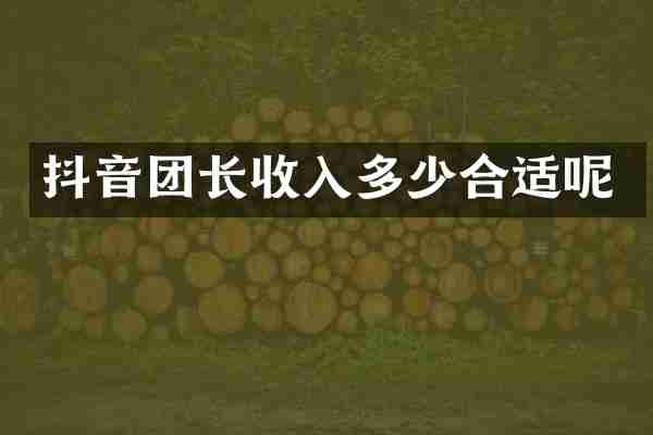 抖音团长收入多少合适呢