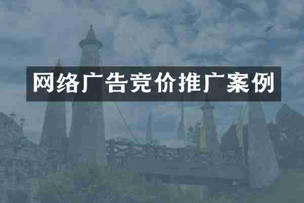 网络广告竞价推广案例