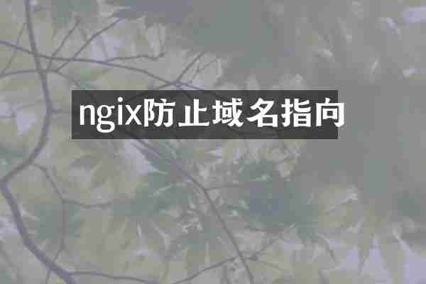 ngix防止域名指向