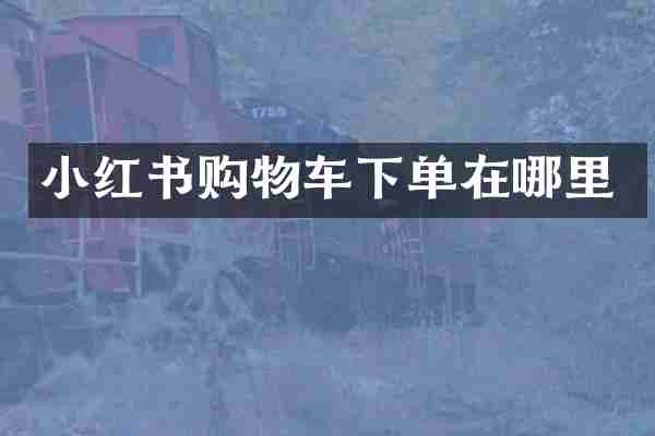 小红书购物车下单在哪里