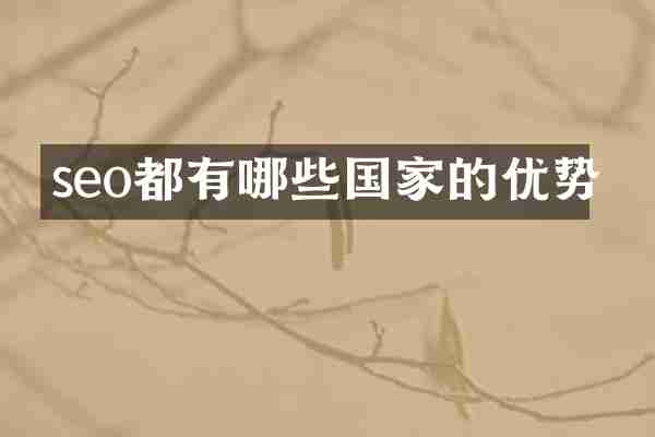 seo都有哪些国家的优势
