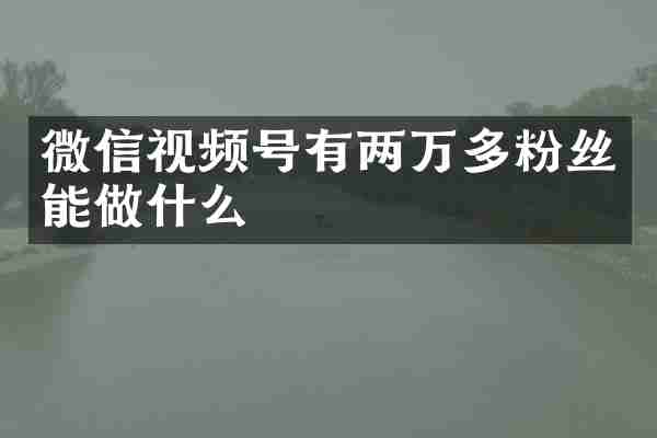 微信视频号有两万多粉丝能做什么