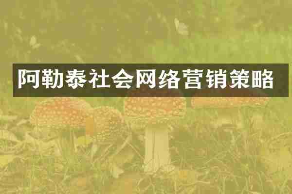 阿勒泰社会网络营销策略