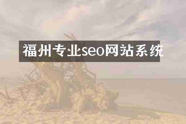 福州专业seo网站系统