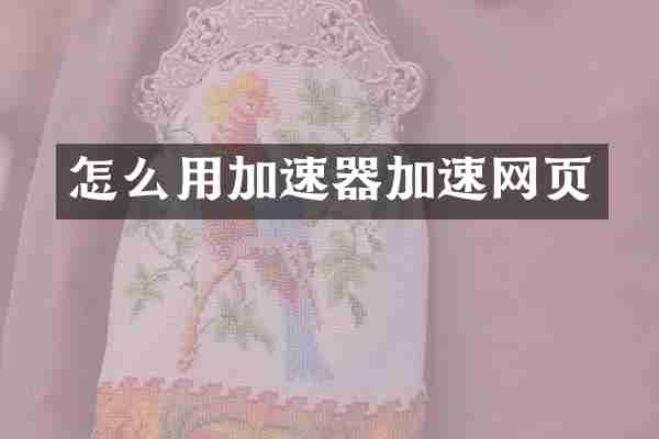 怎么用加速器加速网页