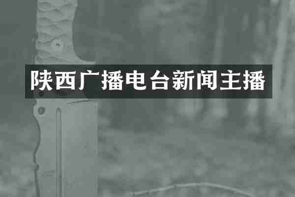 陕西广播电台新闻主播
