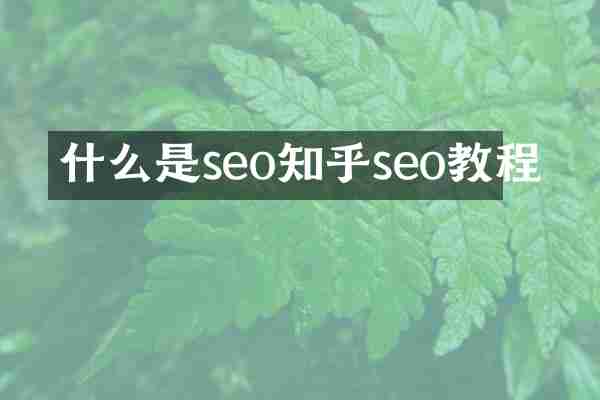 什么是seo知乎seo教程