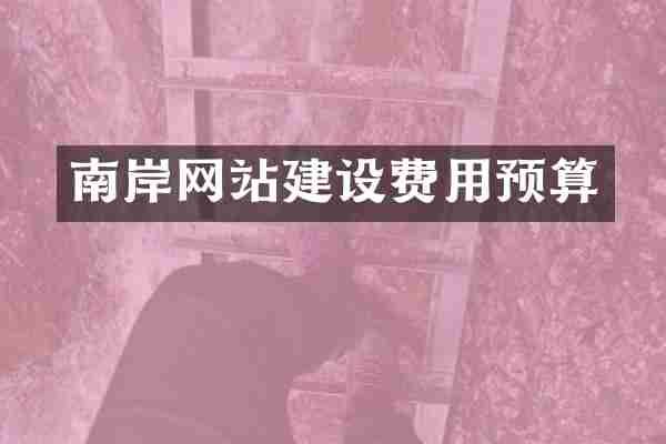 南岸网站建设费用预算