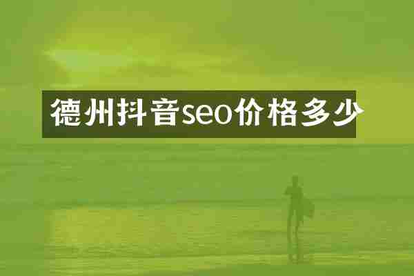 德州抖音seo价格多少