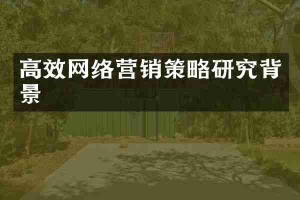 高效网络营销策略研究背景