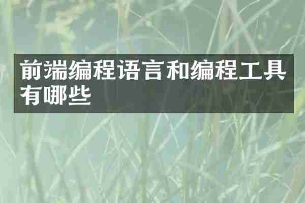 前端编程语言和编程工具有哪些