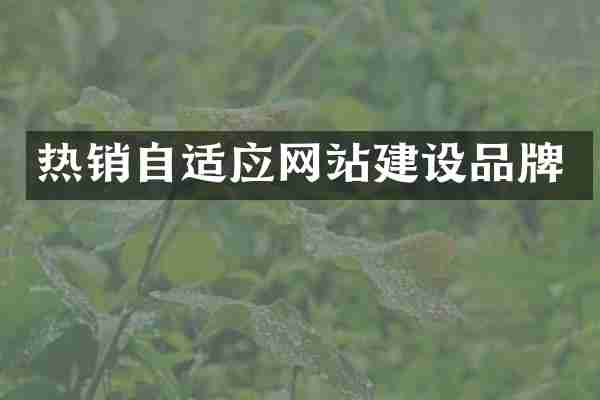 热销自适应网站建设品牌