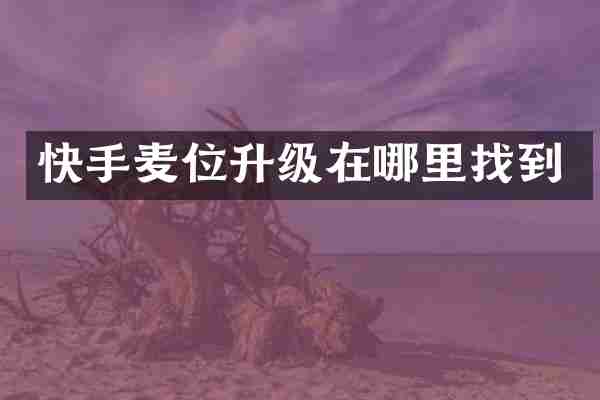 快手麦位升级在哪里找到