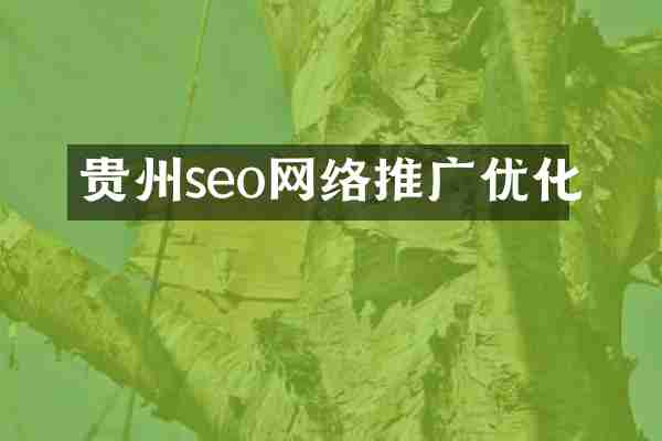贵州seo网络推广优化