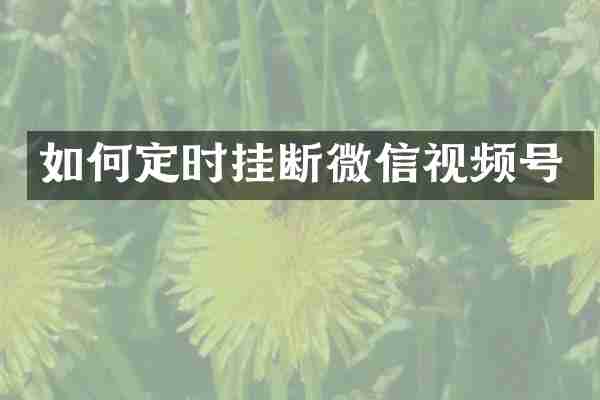 如何定时挂断微信视频号