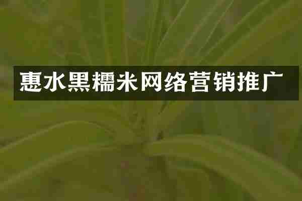 惠水黑糯米网络营销推广