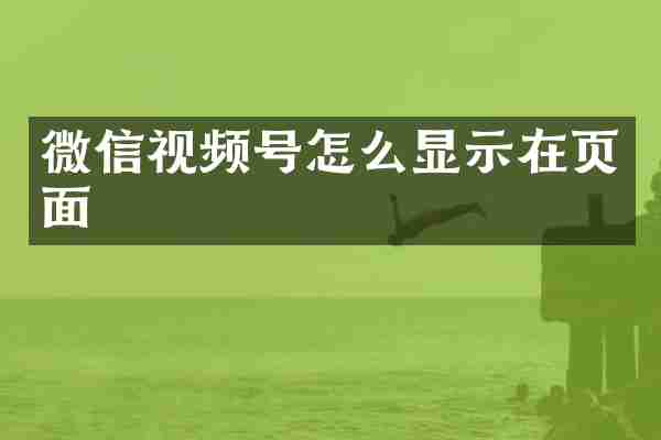 微信视频号怎么显示在页面
