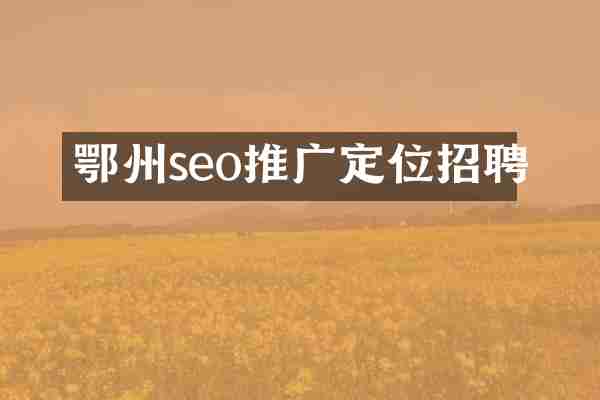 鄂州seo推广定位招聘