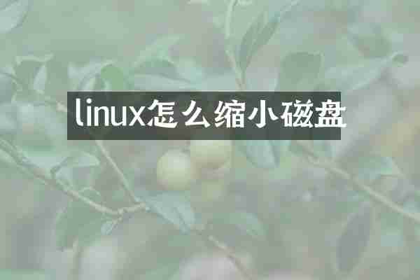 linux怎么缩小磁盘