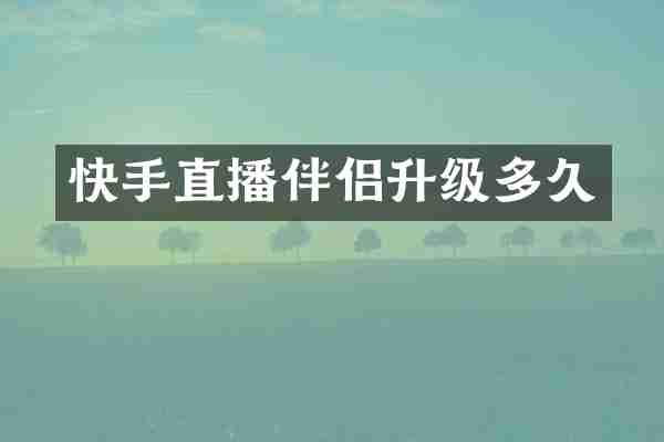快手直播伴侣升级多久