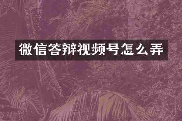 微信答辩视频号怎么弄
