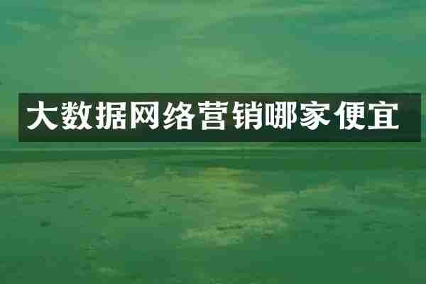 大数据网络营销哪家便宜