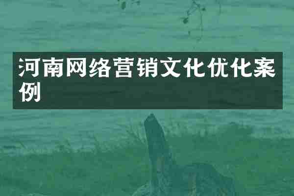 河南网络营销文化优化案例