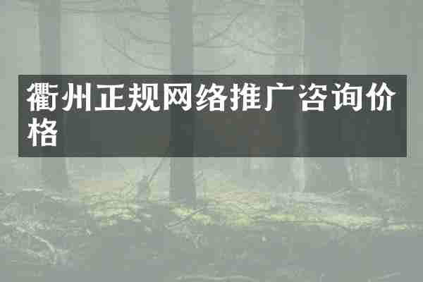 衢州正规网络推广咨询价格