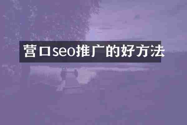 营口seo推广的好方法