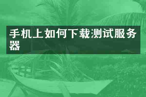 手机上如何下载测试服务器