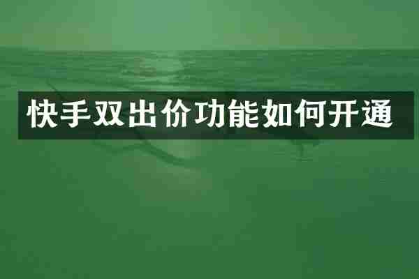 快手双出价功能如何开通