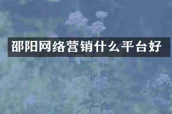 邵阳网络营销什么平台好