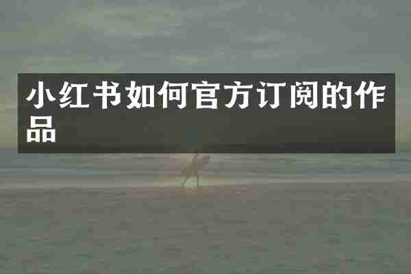 小红书如何官方订阅的作品