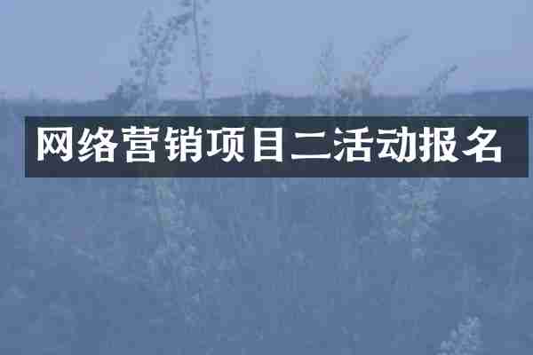 网络营销项目二活动报名