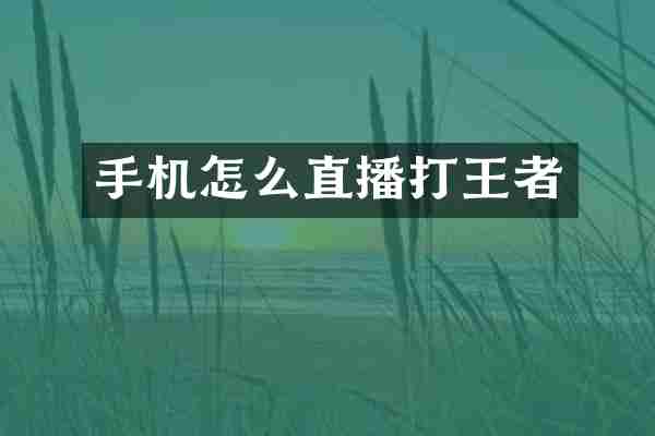 手机怎么直播打王者