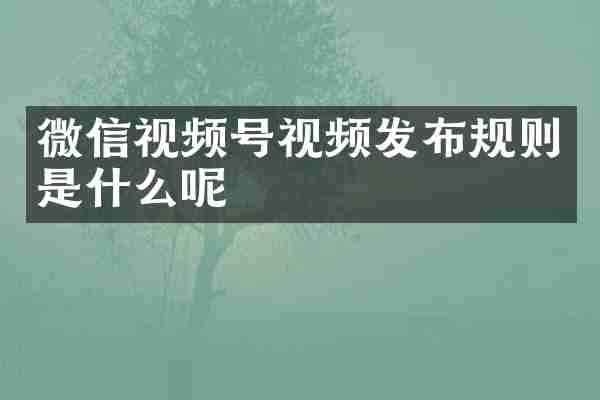 微信视频号视频发布规则是什么呢