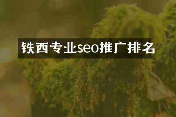 铁西专业seo推广排名