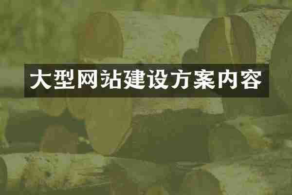 大型网站建设方案内容