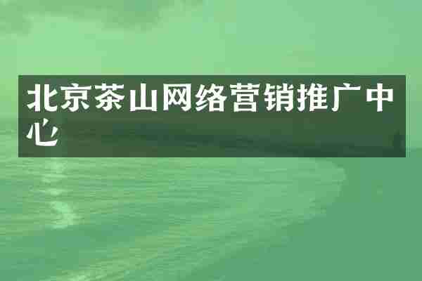 北京茶山网络营销推广中心